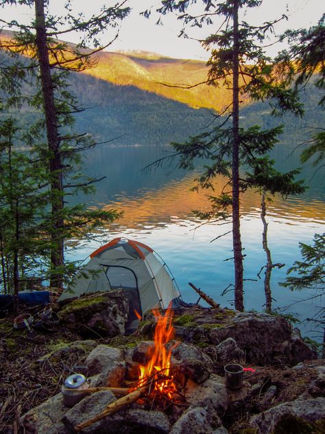 🇨🇦 Campsite (Slocan, BC) by Katie - 凯迪 Urban, Fandom, Lofoten, Resim, Fotografie, Fotografia, Turismo, Fernweh, Trip