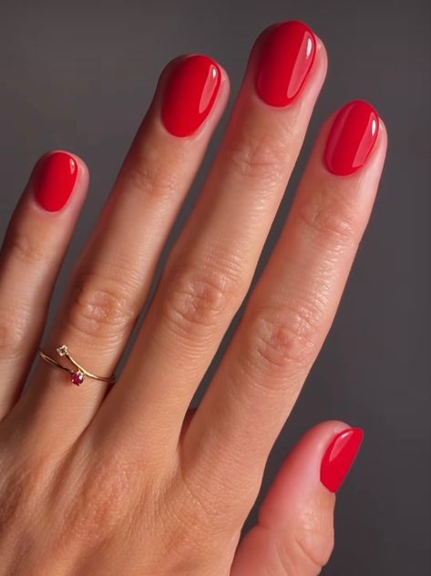 Short round nails painted red Red Gel Nails, Round Shaped Nails, Short Oval Nails, Round Tip Nails, Round Nails, Short Round Nails, Short Red Nails, Red Nails, Rounded Nails