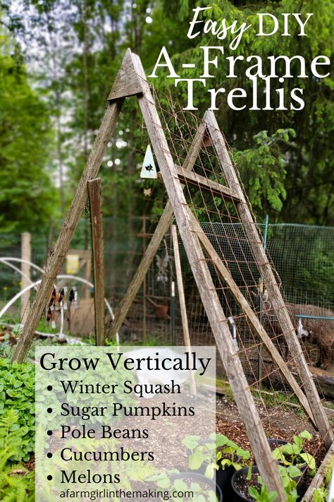 Want a way to increase your growing space? Go Vertical over your raised beds. Grow pole beans, squash, melons, cucumbers, and more by going up and making the most of vertical space to grow more food in your backyard garden. Get the instructions for your DIY trellis now! Trellis, Raised Garden Beds, Diy Garden Trellis, Pole Beans Trellis, Squash Trellis, Bean Trellis, Raised Garden, Garden Trellis, Watermelon Trellis Diy Garden Ideas