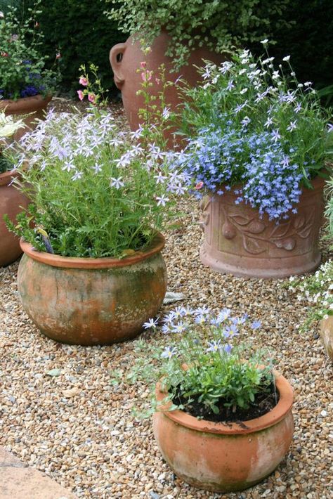 Moon to Moon: Inspiration..... Small Gardens and potted plants Shaded Garden, Back Garden Landscaping, Gardening, Garden Planning, Garden Pots, Garden Containers, Garden Landscaping, Backyard Landscaping, Gravel Garden