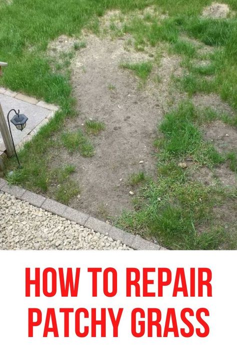 How to Repair Patchy Grass Compost, Outdoor, Inspiration, How To Fertilize Lawn, Lawn Care Weeds, How To Kill Grass, Replace Lawn, Grass Fertilizer, Best Grass Seed Lawn