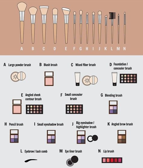 Concealer, Contouring, Foundation, Eye Make Up, Glow, Eyeliner, Makeup Brushes Guide, Makeup Brush Set, Makeup Brush Uses