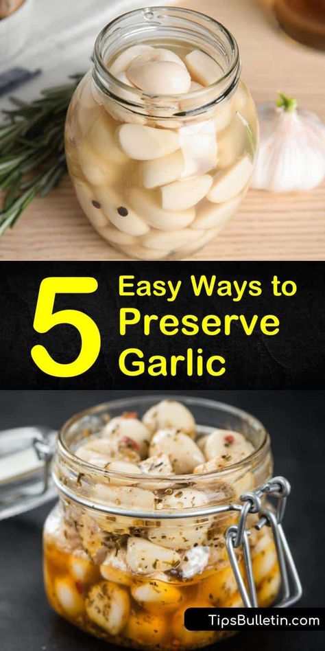 Food Storage, Gardening, Canning Recipes, Sauces, How To Store Garlic, How To Preserve Garlic, Preserving Garlic, Pickled Garlic, Preserving Recipe