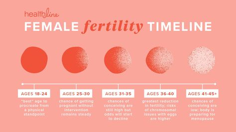 A Breakdown of the Fertility Timeline Fertility, Fertility Treatment, Fertility Health, Ivf Treatment, Ivf Cycle, Fertility Center, Boost Fertility, Getting Pregnant, Gynecology