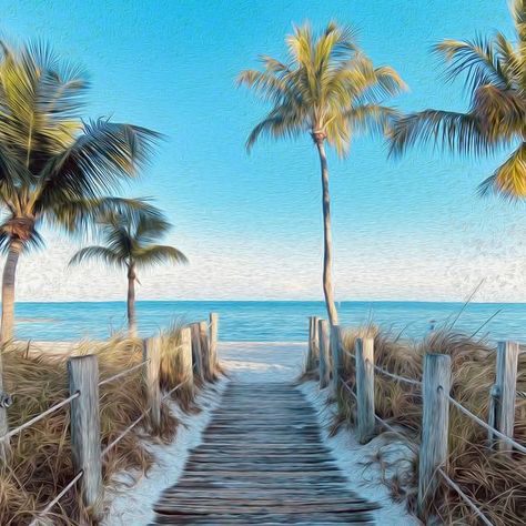 (1) Products – Backyards of Key West Gallery Key West Florida, Nature, Beach Boardwalk, Beach Scenes, Beach Life, Beach Pictures, Beach, Beach Themes, Seaside