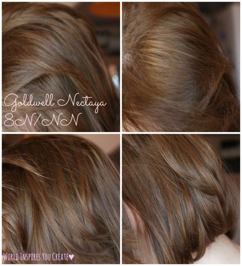 hair on day light Goldwell Color Chart, Goldwell, Shades Of Blonde, Shades, 8n Hair Color, Color Me, Makeup Guru, Color, Hair Color Trends