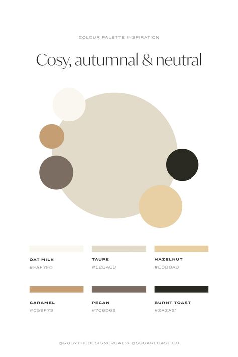 Cosy, autumnal, neutral and nature-inspired colour palette for your Brand or Squarespace Website Web Design, Pantone, Design, Hues, Colour, Faq, Colours, Brand Colors, Brand Color Palette