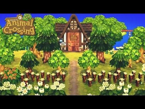 Landscaping from scratch Using the New Leaf Save Editor : Clover | ACNL - YouTube Inspiration, Nature, Animal Crossing Villagers, Animal Crossing 3ds, Animal Crossing Qr, Animal Crossing Qr Codes Clothes, Horizons, Acnl, Landscape