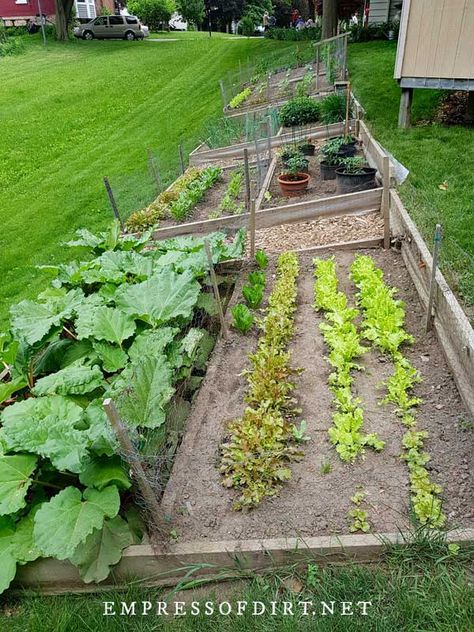 These vegetable garden ideas include raised beds, containers, and in-ground designs for any size yard or patio. Layout, Vegetable Garden Design, Backyard Vegetable Gardens, Raised Vegetable Gardens, Garden Layout Vegetable, Vegetable Garden Layout Design, Small Vegetable Gardens, Vegetable Garden Planning, Terraced Vegetable Garden