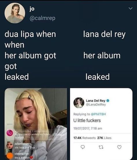 Humour, Lana Del Rey, Lana Del Rey Memes, Really Funny, Lana Del Ray, Musica, Funny Me, Stupid Memes, Really Funny Pictures