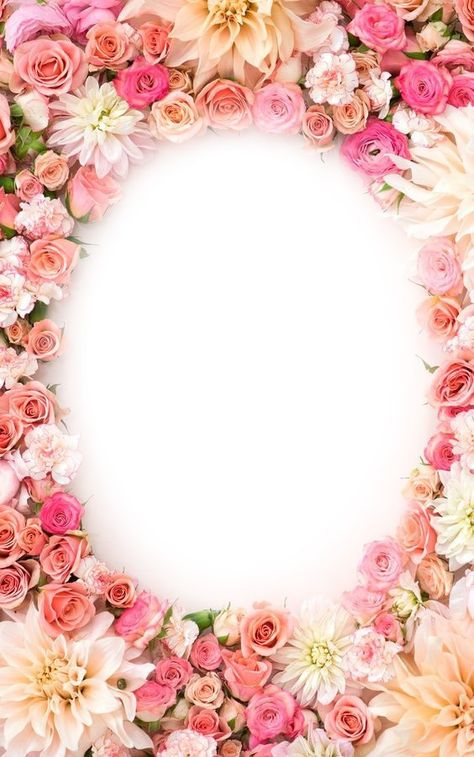 Pink, Floral, Frame Background, Floral Background, Photo Frame Design, Birthday Background Design, Photo Frame, Floral Border Design, Free Photo Frames