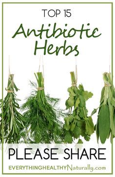Medicinal Plants, Detox, Herbs For Health, Medicinal Herbs Garden, Herbal Remedies, Herbal Healing, Health Remedies, Healing Plants, Medicinal Herbs