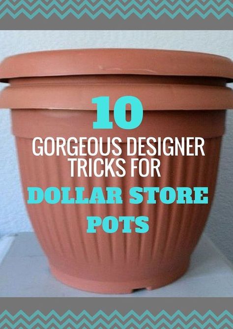 Here Are 10 Gorgeous Designer Tricks for Your Dollar Store Pots Container Gardening, Garden Care, Pound Shops, Garden Types, Pound Shop Crafts, Dollar Store Diy, Cheap Flower Pots, Dollar Store Crafts, Diy Garden