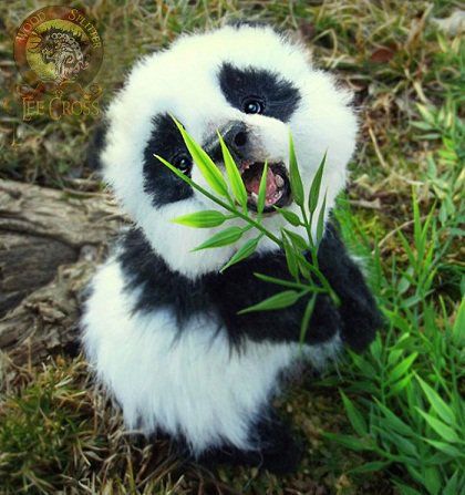 Baby giant panda Kawaii, Pandas, Cute Panda, Cute Kittens, Cute Animal Pictures, Panda, Cute Funny Animals, Panda Bear, Red Panda
