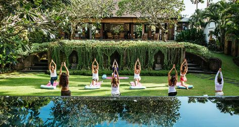 Escape Haven is the Leading Women’s Retreat in Bali with yoga, surf, fitness and spa retreat packages. Book yours today. Bali, Hong Kong, Indonesia, Hotels And Resorts, Bali Yoga Retreat, Spa Retreat, Bali Retreat, Resort, Wellness Resort