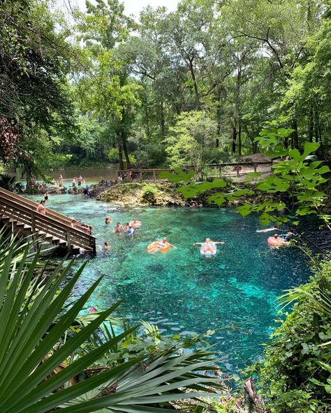 Barry Snapp on Instagram: “I’ve never been to a natural springs in Florida until I visited Madison Blue Spring State Park in Lee, FL. The color of the water was…” State Parks, Instagram, Orlando Florida, Florida, Natural Springs In Florida, Water Parks, Rock Springs, Springs In Florida, Blue Springs State Park