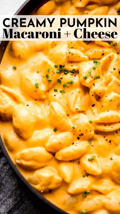 Pumpkin Mac and Cheese will quickly become your favorite fall meal. This family-friendly, easy recipe is a guaranteed winner! // easy // recipe // creamy // best // tasty