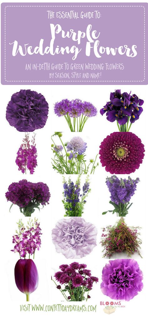 Get purple wedding flower names and ideas with pics + seasons. Save the purple flower guide: http://www.confettidaydreams.com/purple-wedding-flowers-names/ Floral, Hibiscus, Bouquets, Flowers Bouquet, Flower Bouquet Wedding, Light Purple Flowers, Green Wedding Flowers, Purple Flower Names, Purple Wedding Flowers