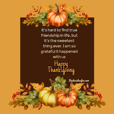 Thanksgiving, Friends, Thanksgiving Wishes To Friends, Thanksgiving Quotes Family, Thanksgiving Messages For Friends, Happy Thanksgiving Quotes Friends, Thanksgiving Messages, Thanksgiving Wishes, Happy Thanksgiving Quotes