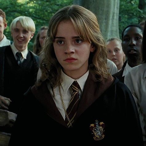 Harry Potter, Hermione, Hermione Granger, Harry, Hermione Granger Hair, Hermione Hair, Hermoine Granger, Hermione Granger Aesthetic, Capelli