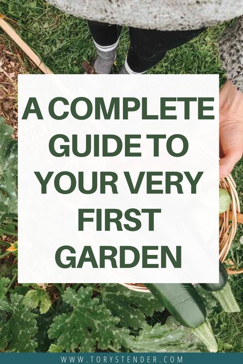 A COMPLETE GUIDE TO YOUR VERY FIRST GARDEN Gardening, Outdoor, Exterior, Ideas, Garden Care, Spring Planting Guide, Gardening Tips, Starting A Garden, Gardening For Beginners
