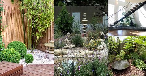 Diy, Ideas, Outdoor, Design, Indoor Zen Garden Ideas, Indoor Zen Garden, Outdoor Zen Garden, Outdoor Space, Indoor Garden