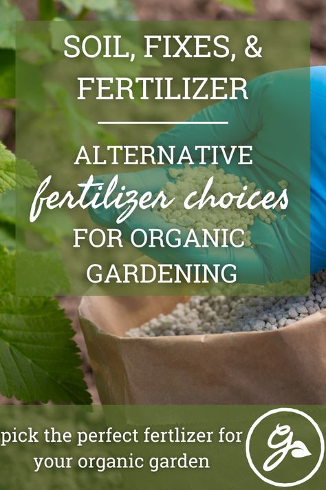 Discover the benefits of using organic fertilizers for your garden! Not only do they provide essential nutrients for your plants, but they also improve soil health and are better for the environment. Learn how to choose the right organic fertilizer for your specific plants and how to properly apply it for optimal results. Organic Gardening, Gardening, Garden Fertilisers, Organic Fertilizer, Soil Health, Garden Fertilizers, Soil Improvement, Fertilizers, Garden Fertilizer