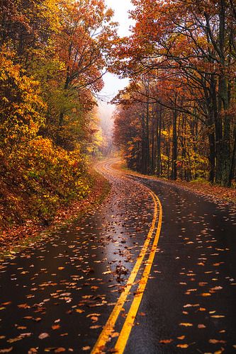 West Virginia Fall Road Photo by Michael Matti | by Michael Matti