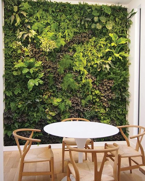 Indoor vertical garden and living wall by PlantWallDesign – Plant Wall | New York Interior, Outdoor, Garden Wall, Vertical Garden, Vertical Garden Wall, Landscape Walls, Walled Garden, Vertical Gardens, Garden Solutions