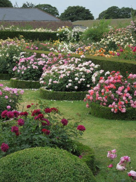 Outdoor, Gardening, Estate Garden, Front Lawn Landscaping, Landscaping With Roses, Garden Of Paradise, Garden Roses, Rose Garden Landscape, Gorgeous Gardens