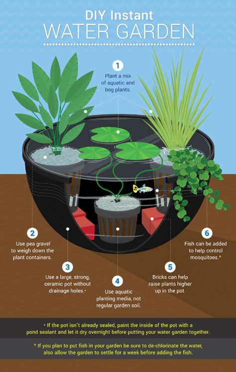 Shaded Garden, Exterior, Container Gardening, Ponds For Small Gardens, Diy Water Feature, Container Water Gardens, Indoor Water Garden, Pond Plants, Gardening For Beginners