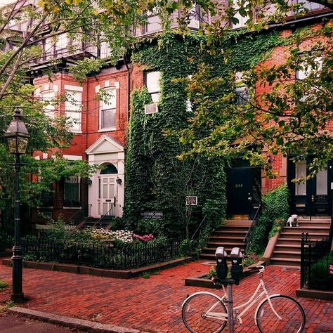 Autumn, Nature, Boston, Exterior, Places, Vert, Fotografia, City Aesthetic, Pretty Places