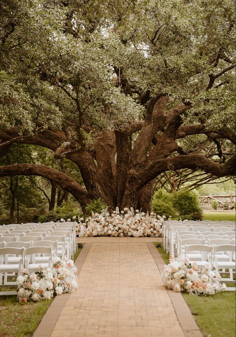 Rustic Wedding Decorations, Wedding Ceremony Backdrop Outdoor, Wedding Tree Decorations, Ceremony Decorations Outdoor, Wedding Ceremony Setup, Wedding Arch With Flowers, Small Weddings Ceremony, Wedding Outdoor Ceremony, Ceremony Arch Decor