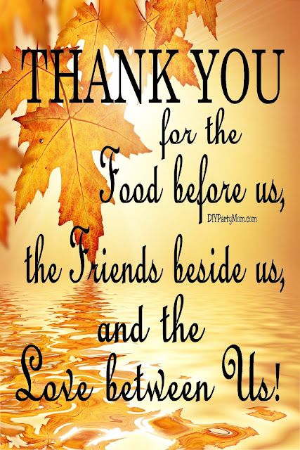 Thanksgiving, Thanksgiving Decorations, Thanksgiving Sayings, Thanksgiving Prayer, Thanksgiving Images, Thanksgiving Ideas, Thanksgiving Cards Handmade, Thanksgiving Design, Thankful For Friends