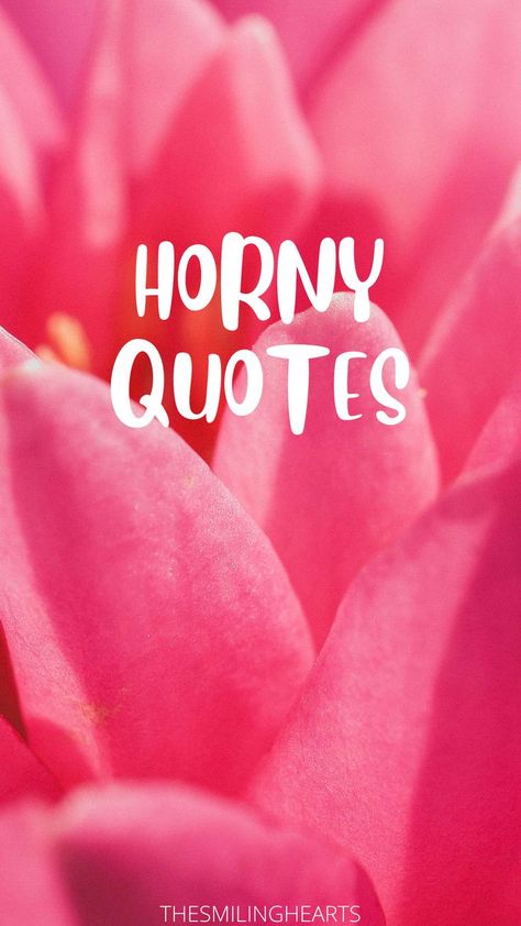 horny quotes Funny Quotes, Inappropriate Quote, Dirty Quotes, Dirty Mind Quotes, Naughty Quotes, Horny Quotes, Flirting Quotes, Flirty Quotes, Flirty Quotes For Him