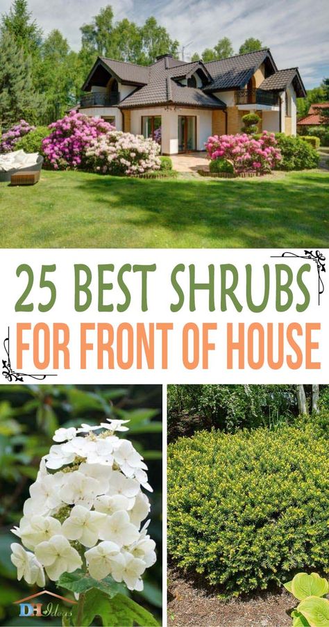 Shaded Garden, Exterior, Porches, Outdoor, Home Décor, Front Of House Plants, Southern Landscaping, Front Porch Landscaping Ideas, Shrubs For Landscaping