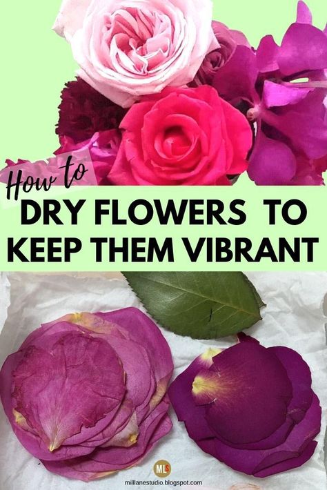 There are lots of ways to dry flowers but if you want to keep the vibrancy of the petals, nothing beats drying them in the microwave. It's by far the quickest method and it helps keep the flower colour strong. Check out some of the other drying methods covered in this tutorial too. #MillLaneStudio #microwavedryingflowers #pressedflowersdiytutorial #howtodryflowersandkeepcolor #howtopreserverealflowers Floral, Dried And Pressed Flowers, How To Dry Out Flowers, Drying Roses, How To Preserve Flowers, Dry Flowers, Dried Rose Petals, Pressed Flowers, Dried Flowers Diy