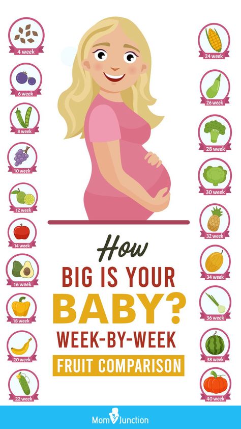 Baby Week By Week, Third Trimester Pregnancy, Baby Size By Week, Baby Weeks, Baby Growth In Womb, 4 Month Baby, Baby At 4 Weeks, How Big Is Baby, Pregnancy Information