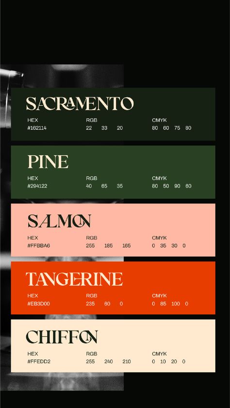 Green, pink, orange, ivory color palette for branding of speakeasy bar Design, Behance, Hex Colors, Hex Color Palette, Brand Colour Schemes, Web Colors, Brand Colors, Visual Design, Design Trends