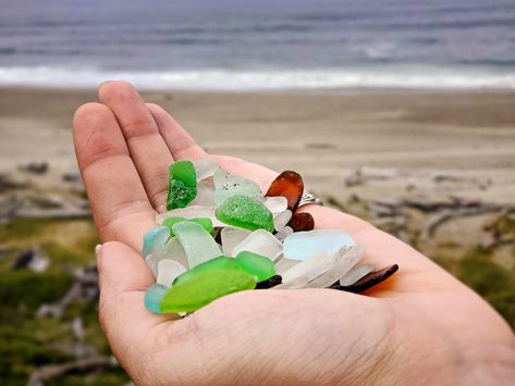 For some people like my girlfriend, finding treasures on the Oregon coast is one of their favorite past times. Whether it be seashells on the beach, sand dollars, agates, or beautiful sea glass, along the Oregon coast there’s an endless supply. When talking about sea glass on the Oregon coast, there are so many serene … Oregon, Oregon Travel, Sea Glass, Sea Glass Beach, Sea Glass Colors, Oregon Beaches, Oregon Coastline, Coast, Sea