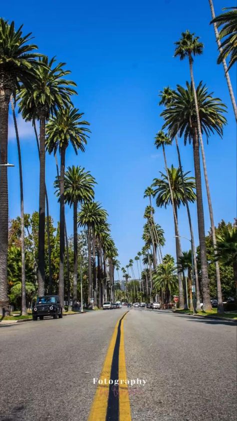 Cali, Urban, San Diego, Angeles, Los Angeles, Los Angeles Beverly Hills, Beverly Hills, California Travel, California Palm Trees