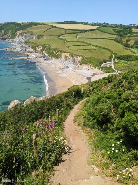 Destinations, Cornwall, British, Brittany, Coast Path, Beach Path, Places In Cornwall, Cornwall Beaches, Coast