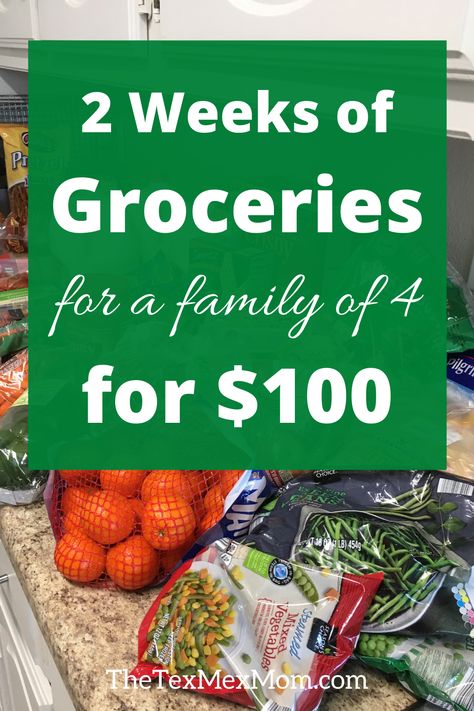Two Weeks of Groceries for $100 | Simple Menu and Grocery List! Ideas, Grocery Staples List, Cheap Grocery List, Budget Grocery Shopping, Budget Grocery List, Grocery Budgeting, Basic Grocery List, Online Grocery List, Grocery Hacks