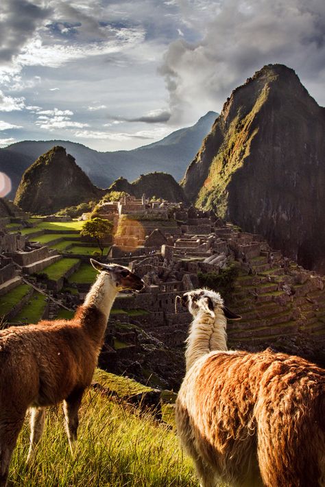 Endless Road Trip - Slide Show - NYTimes.com Travel Photography, Machu Picchu, Trips, Wanderlust, Road Trip, South America Travel, Open Road, America Travel, Travel Inspiration