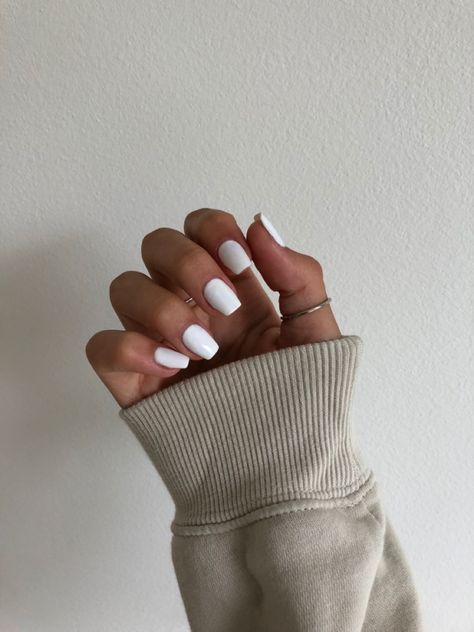 White Oval Nails, Neutral Nails, Solid Color Nails, Plain Nails, White Gel Nails, Plain Acrylic Nails, White Short Nails, White Acrylic Nails, Trendy Nails