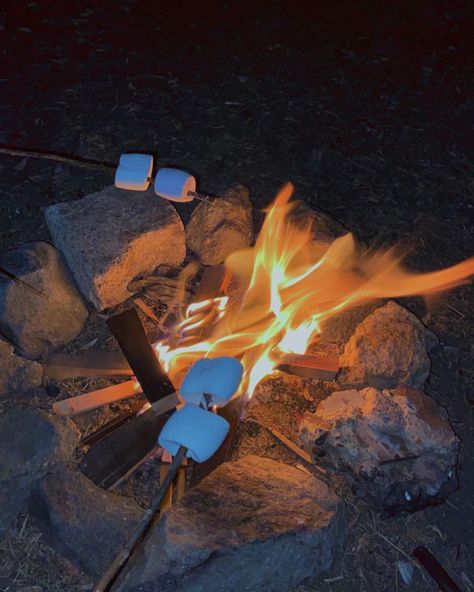 Outdoor, Camping, Outdoor Camping, Instagram, Trips, The Great Outdoors, Ideas, Camp Fire, Tent Camping Aesthetic