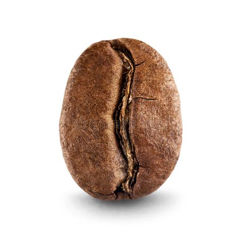 Coffee bean. On white background , #AFF, #bean, #Coffee, #background, #white #ad Coffee, Design, Coffee Beans, Coffee Grain, Beans Image, Coffee Tea, Cofee, Coffee Photography, Beans
