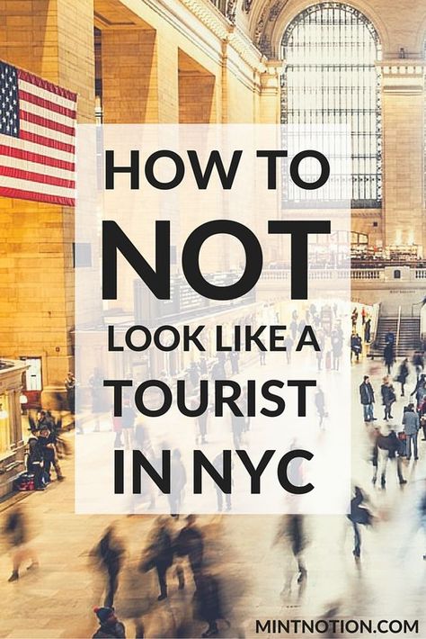 Snorkelling, Hotels, Manhattan, Trips, York, New York City, New York City Vacation, New York In March, New York Vacation