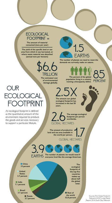 What is an ecological footprint? #Infographic #TommieMedia http://bit.ly/1Ju18AK