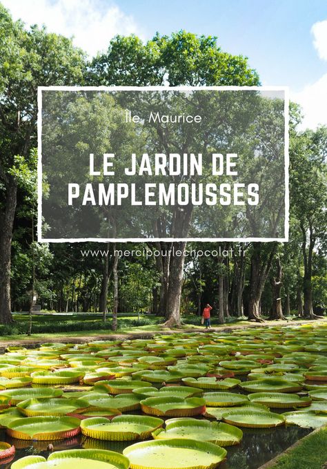 #travel Jardin de Pamplemousses - île Maurice #mauritius (via mercipourlechocolat.fr)